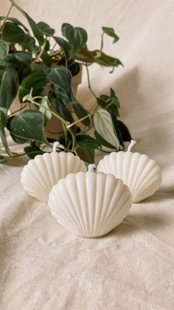 Small Shell Candle