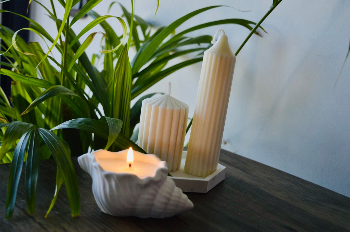 Shell Candle