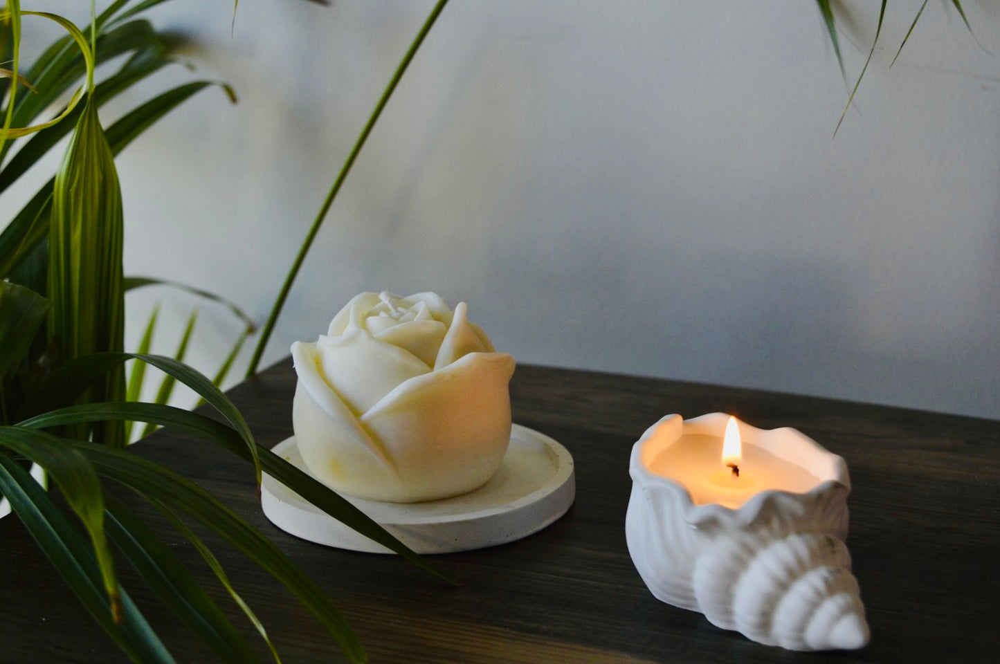 Shell Candle